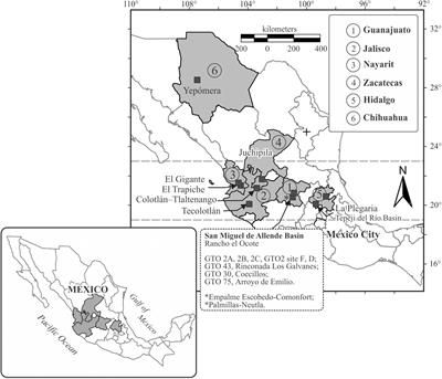 Dinohippus mexicanus (Early-Late, Late, and Latest Hemphillian) and the Transition to Genus Equus, in Central Mexico Faunas